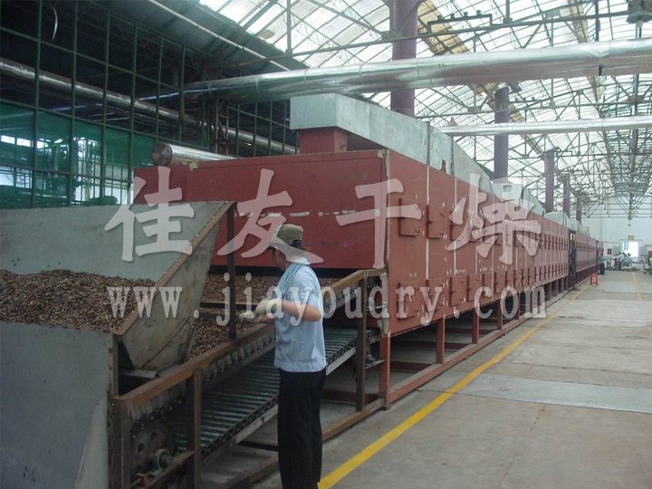 DWC Dehydrated Vegetables Belt Dryer